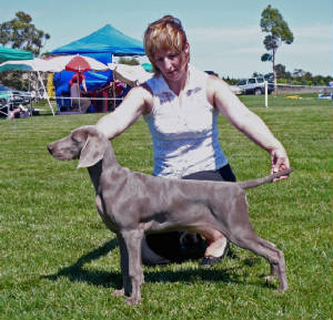 kaede15wkslyndhurstshow.jpg